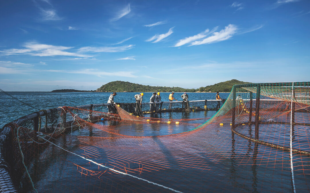 World Fisheries Day 2024