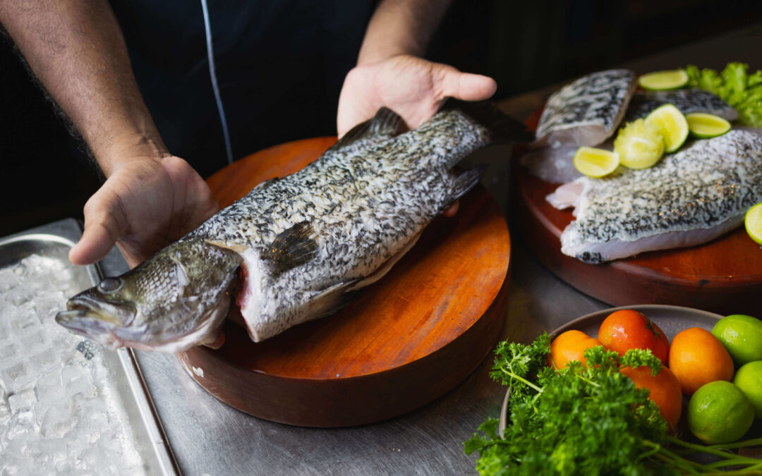 Why Choose Round Island as Your Premium Barramundi Supplier?