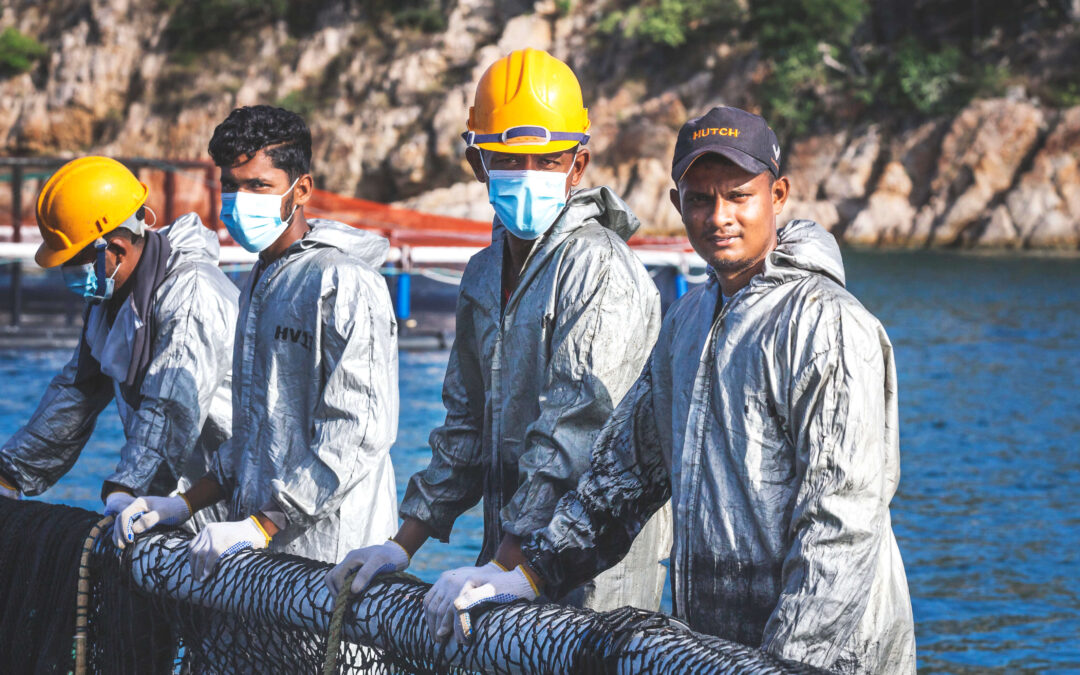 Ocean to Market: Round Island’s Commitment to Quality Barramundi Supply